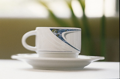 Schönwald DONNA Dekor 62738 Kombiuntere