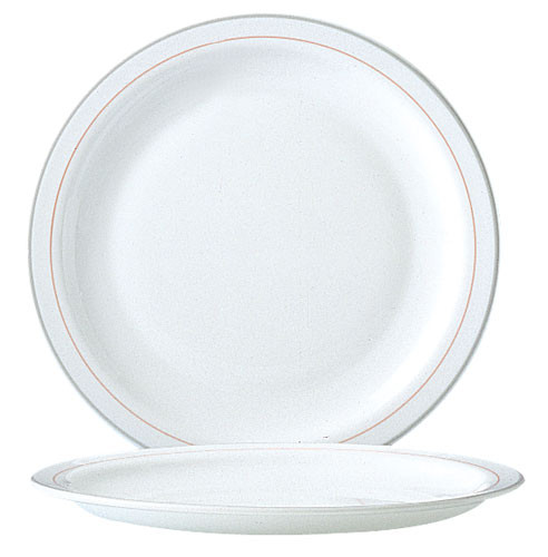 Arcoroc HOTELIERE VALERIE Teller flach 19,5 cm